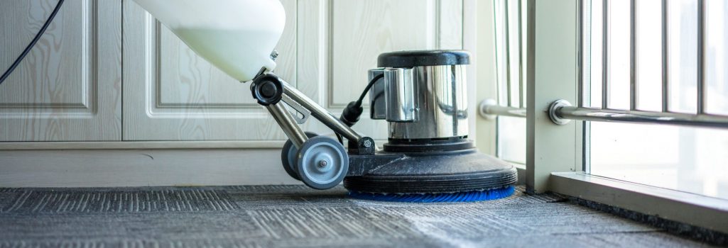 Professional carpet cleaner